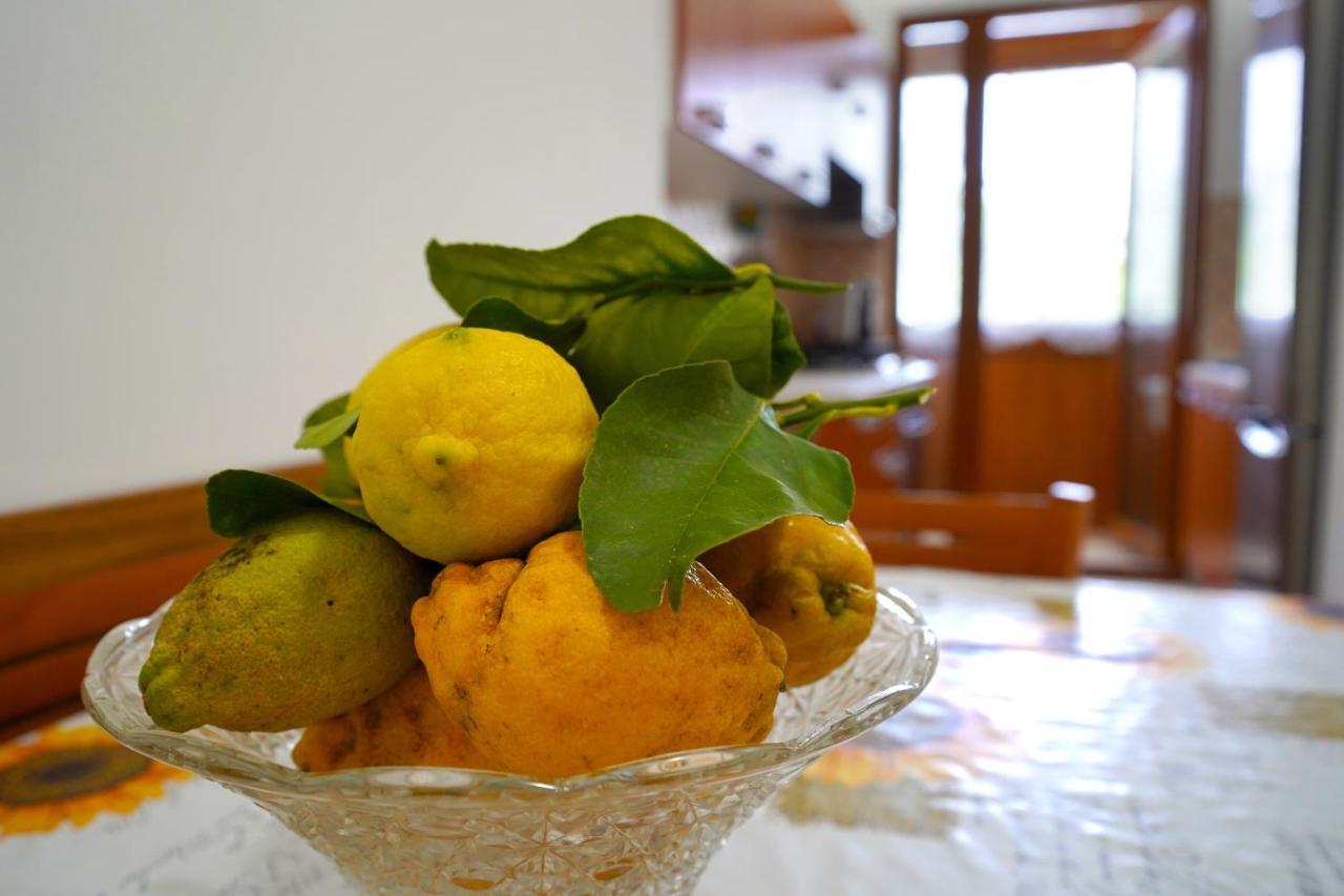 Apartament Milou'S House Sant'Agnello Zewnętrze zdjęcie